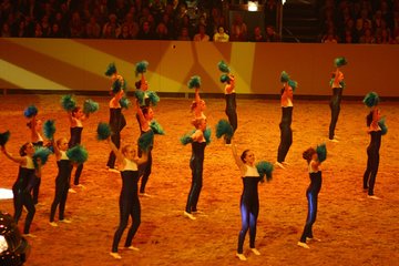 Bild 9 - Hansepferd Gala am 18.4.10